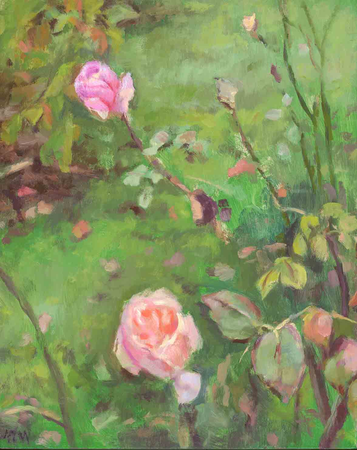 Ludlow Roses